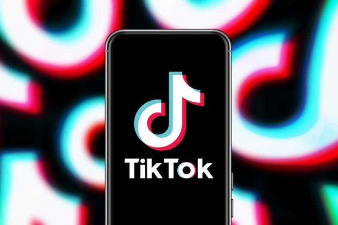 TikTok Removes Over 300,000 Videos About Election
