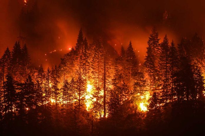 Dixie Wildfire Is Nearly Out but Its Devastation Remains Dixie Wildfire Is Nearly Out but Its Devastation Remains